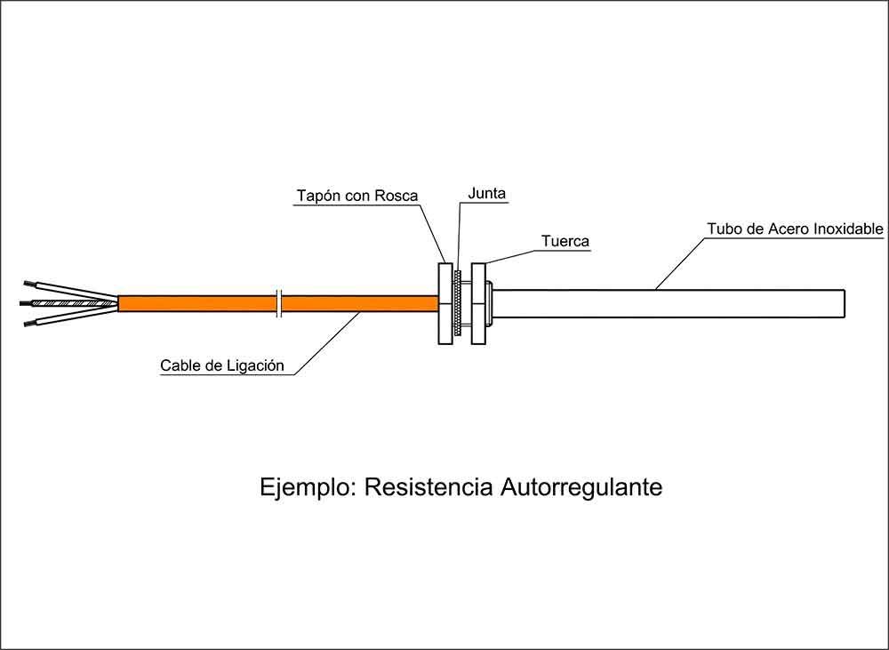 Autorregulante1 | Sedes Elbac